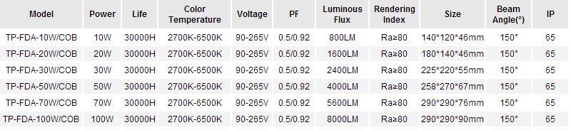 Thin-Floodlight-desc